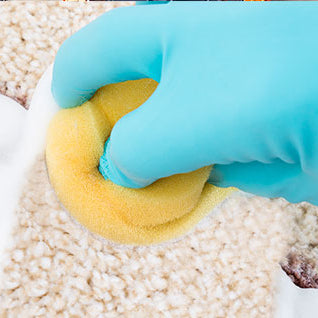 Tipps und Tricks: So pflegen Sie Ihren Teppich richtig!