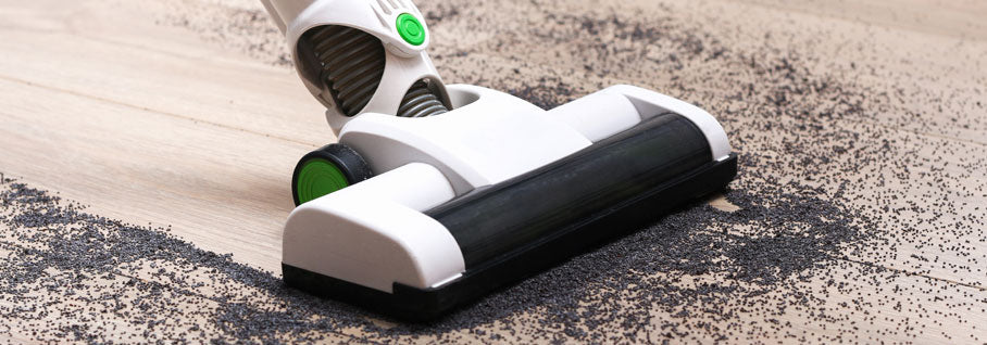 Welcher Vorwerk Kobold-Staubsauger passt am besten zu Ihnen?